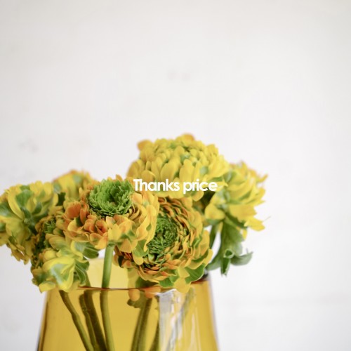 スクリーンショット 2026-01-05 12.57.38