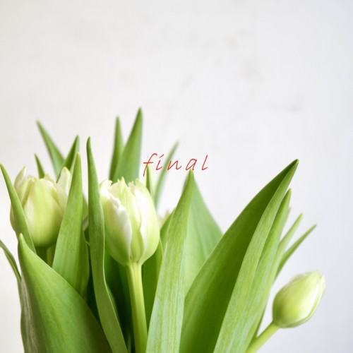 スクリーンショット 2026-01-15 22.48.22